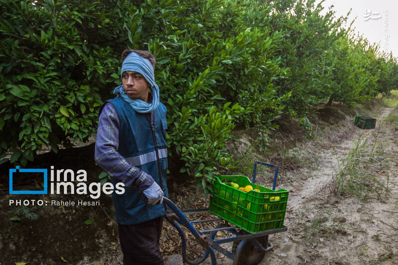 رزق و روزی در خاک و دریا