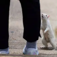 عکس/ تصاویر منتخب از جهان در هفته‌ای که گذشت