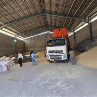 ورود سازمان بازرسی به واردات و توزیع نهادههای دامی