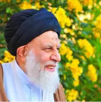 آیت‌الله موسوی دار فانی را وداع گفت