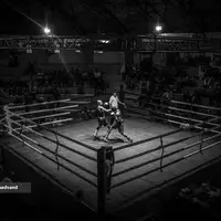 واگذاری ۴۳۲۰ مترمربع زمین به فدراسیون بوکس در مجموعه ورزشی آزادی