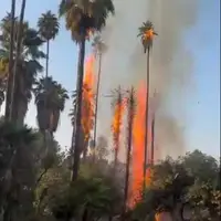 ماجرای آتشسوزی در باغ گردشگری چشمه بلقیس چرام