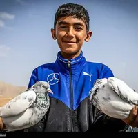 بازار پرنده‌فروشان بجنورد