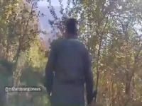 نجات خرس چهار ساله از تله سیمی