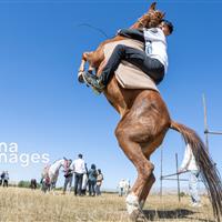 مسابقات سوارکاری استقامت در کردستان به کار خود پایان داد