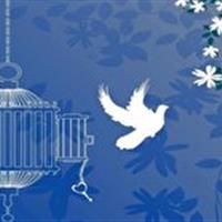 کمک به آزادی زندانیان جرائم غیر عمد در سالروز تولد پدر