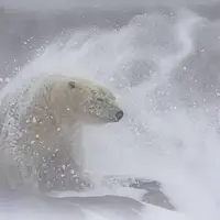 عکس/ برندگان مسابقه عکاسی پانوراما