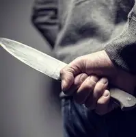 عاملان درگیری خونین یک مراسم عروسی در بم دستگیر شدند