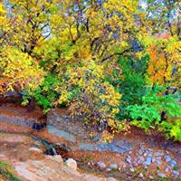 حال و هوای پاییزی در روستای درصوفیان بجنورد