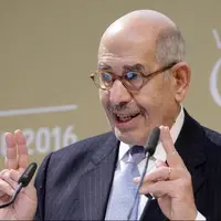 البرادعی دولتهای عربی را خجالتزده کرد؛ هیچ کدام از این کشورها علیه اسرائیل اعلام جرم نکرده است