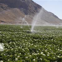 ۵۲۵.۸ میلیون مترمکعب آب به کشاورزی خراسان شمالی اختصاص یافت