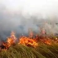 تاخیر در آغاز فعالیت ادارات، دانشگاه‌ها و مدارس خوزستان به دلیل آلودگی