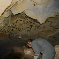 شناسایی غار جدید در شهرستان لالی