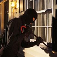 سارقان خانهباغها در ملکشاهی به دام قانون افتادند