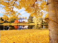 طبیعت زیبای فنلاند، لاپوا