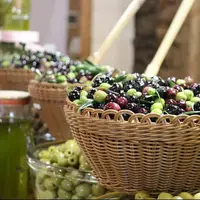 کرند، سرزمین زیتون ایران؛ جایی که طلای سبز در دل کویر می‌درخشد