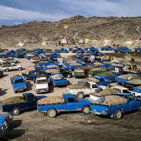 کشف قاچاق سوخت سازمان یافته در هرمزگان