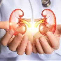 عملکرد درخشان هوش مصنوعی در پیشبینی بقای بیماران پیوند کلیه