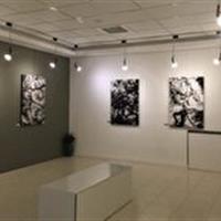 برپایی نمایشگاه سیاه قلم در یزد