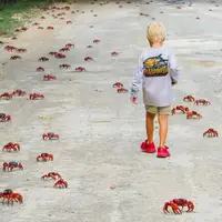 عکس/بهترین عکس‌های حیات وحش در هفتۀ گذشته