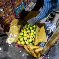 اینجا، امید یخ نمی‌زند !