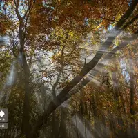 نفس‌های طلایی پاییز در دل زاگرس