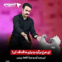 ای مرغ! برگرد و برای ما قدقد کن...