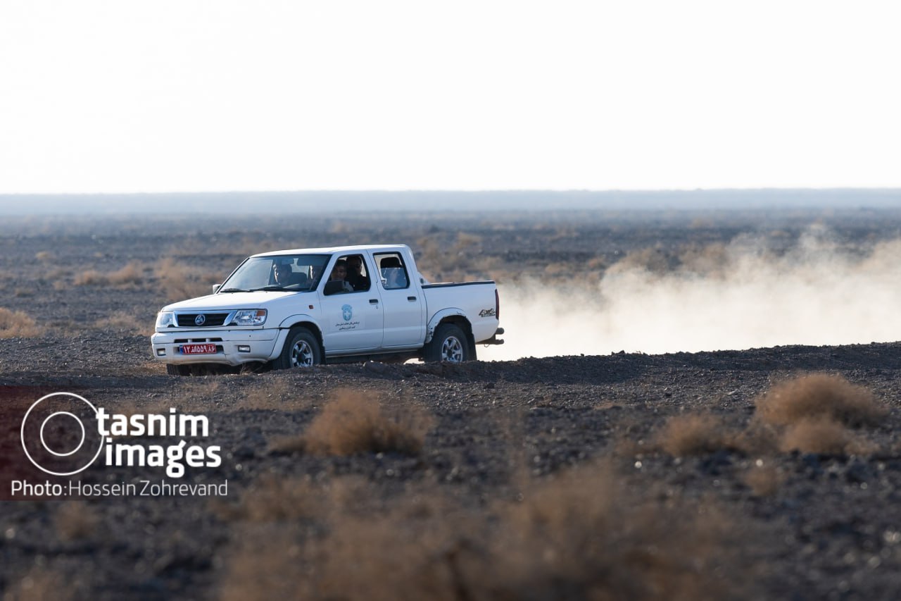 عکس/ احیای گورخر ایرانی در پارک ملی کویر