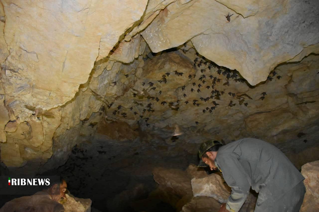 شناسایی غار جدید در شهرستان لالی