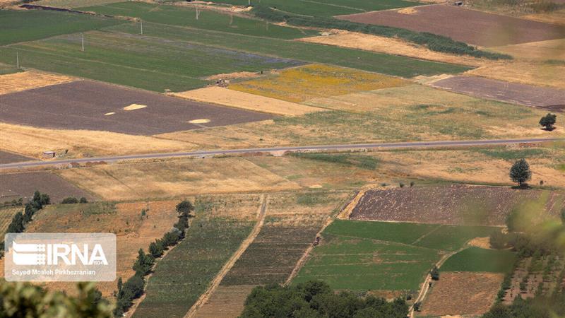 پایان بلاتکلیفی؛ طلوع دوباره کشاورزی بهکده رضوی در خراسان شمالی