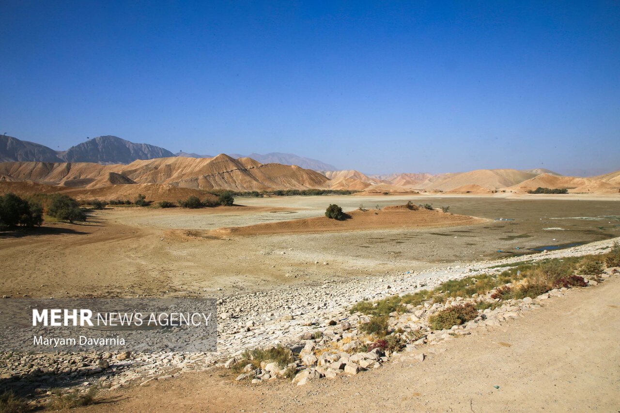 عکس/ مرگ دست جمعی ماهی‌ها در سد عبدل آباد بجنورد