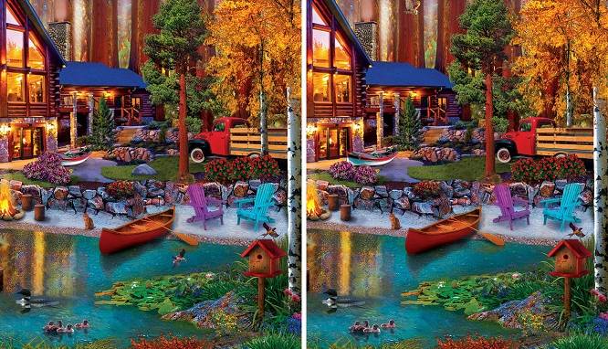 چشم‌های تیزبین، آماده‌ی شکار تفاوت‌ها!