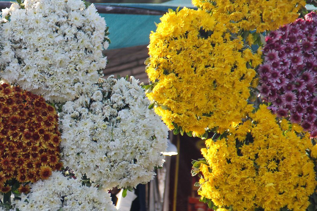 بزرگ‌ترین فرش سرگل خاورمیانه در محلات