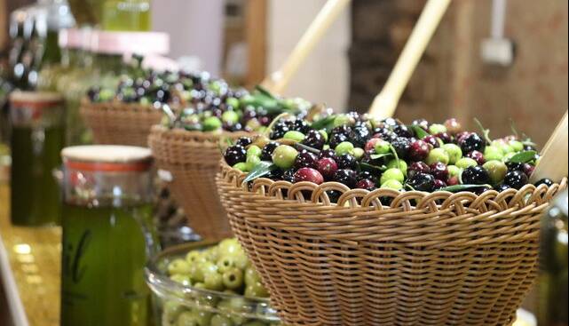 کرند، سرزمین زیتون ایران؛ جایی که طلای سبز در دل کویر میدرخشد