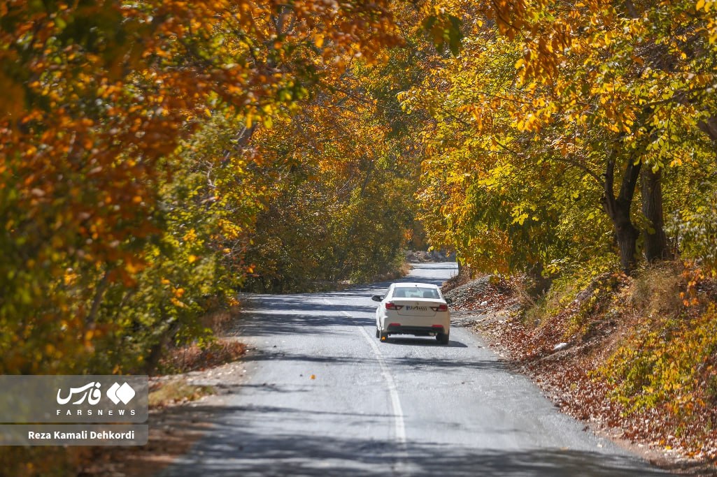 نفس‌های طلایی پاییز در دل زاگرس