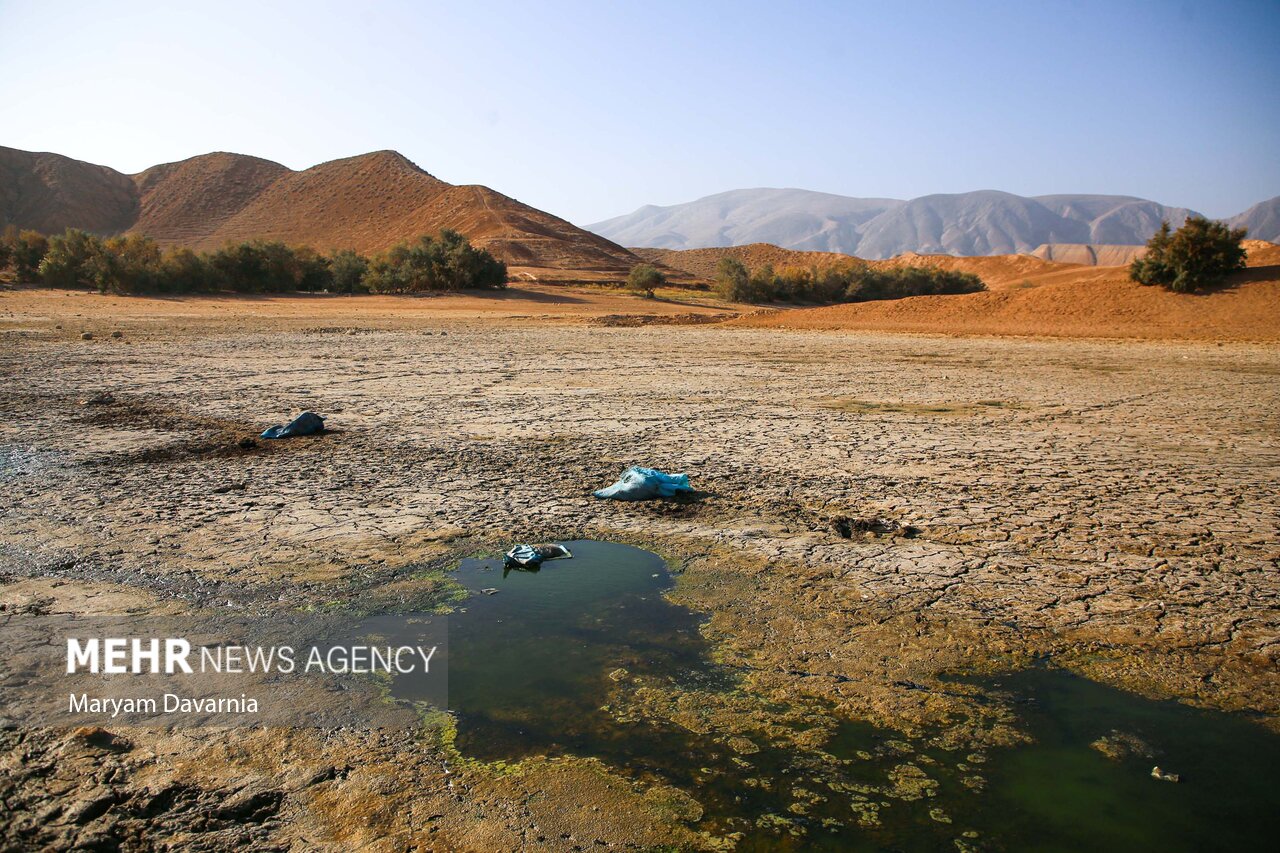 عکس/ مرگ دست جمعی ماهی‌ها در سد عبدل آباد بجنورد