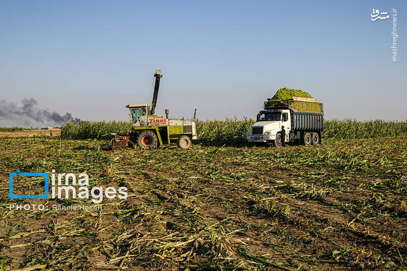 رزق و روزی در خاک و دریا