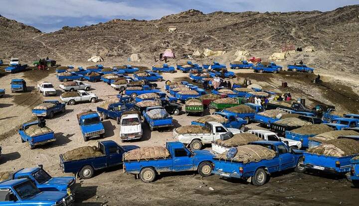 کشف قاچاق سوخت سازمان یافته در هرمزگان