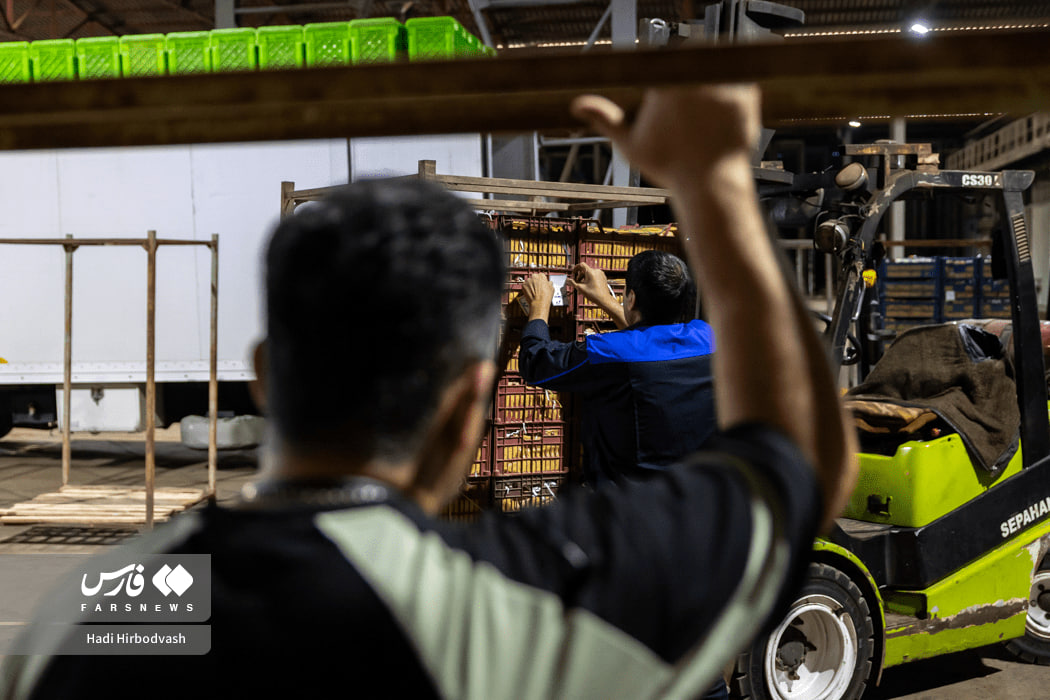 اینجا، امید یخ نمی‌زند !