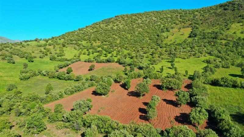 رییس اداره حفاظت محیط زیست شهرستان اعلام کرد: رفع تصرف ۲.۵ هکتار از اراضی منطقه حفاظت شده «باهوکلات» در راسک