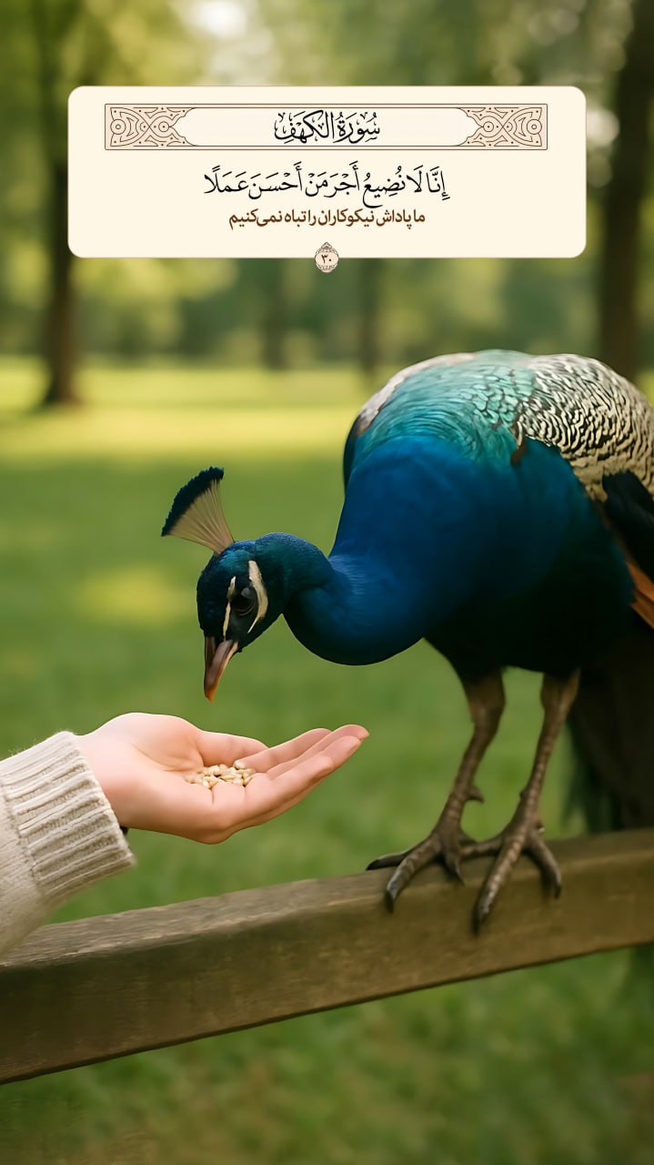 طرح/ پاداش نیکوکاران 