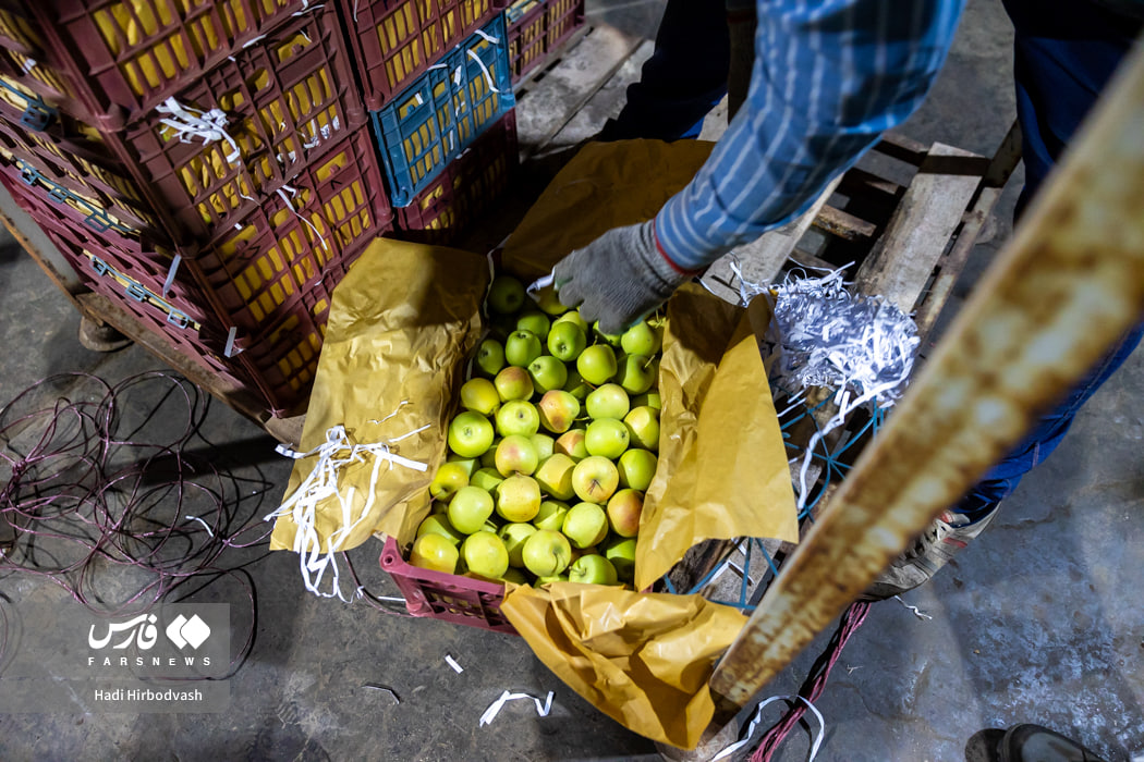 اینجا، امید یخ نمی‌زند !