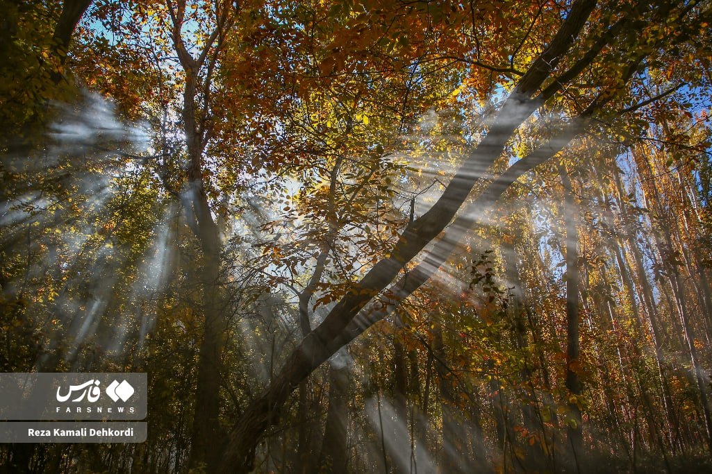 نفس‌های طلایی پاییز در دل زاگرس