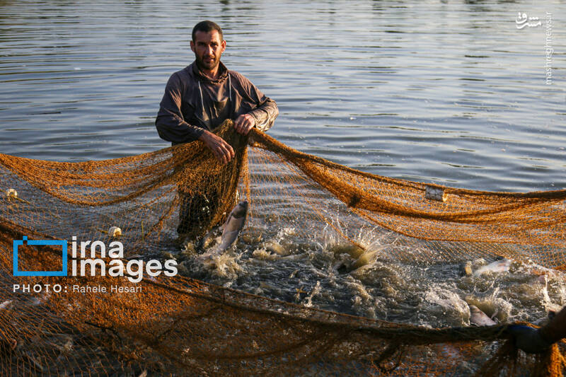 رزق و روزی در خاک و دریا