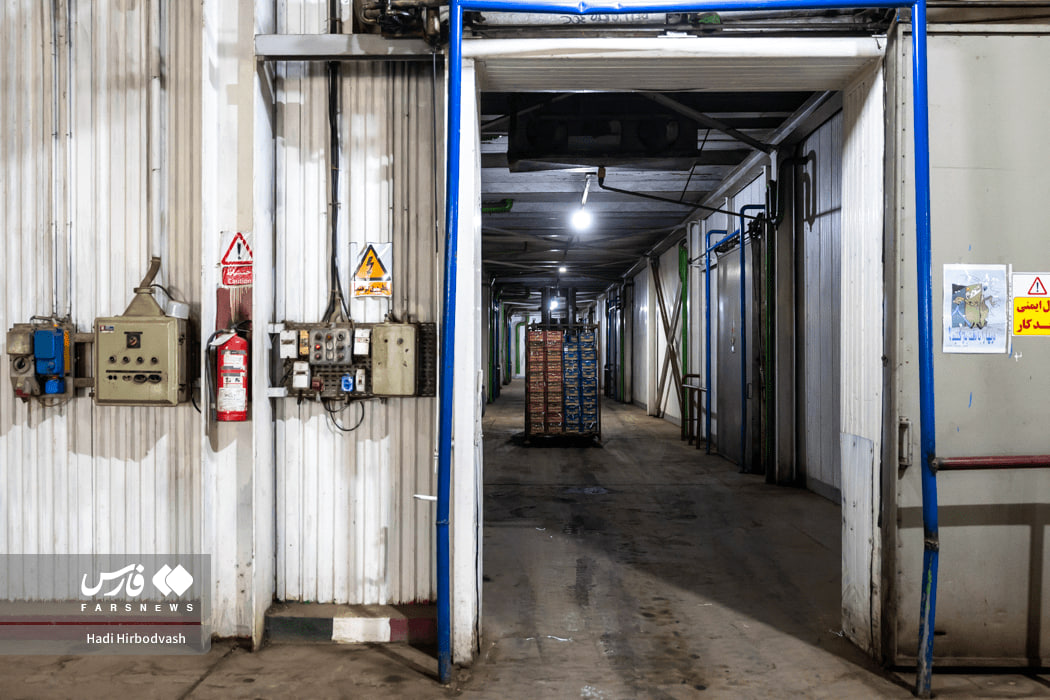 اینجا، امید یخ نمی‌زند !