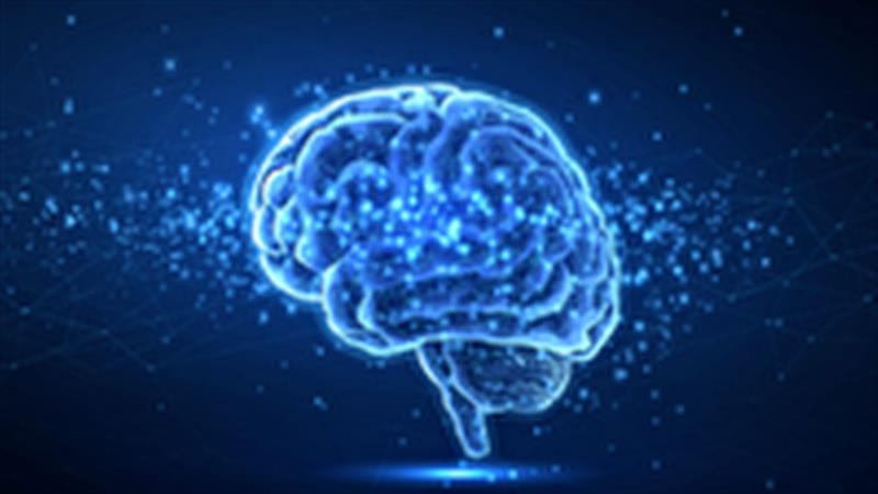 غذاهای فوقفرآوریشده خطر زوال شناختی را افزایش میدهند