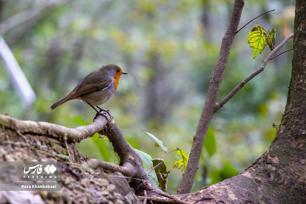 مسیر رویایی خلخال به اسالم