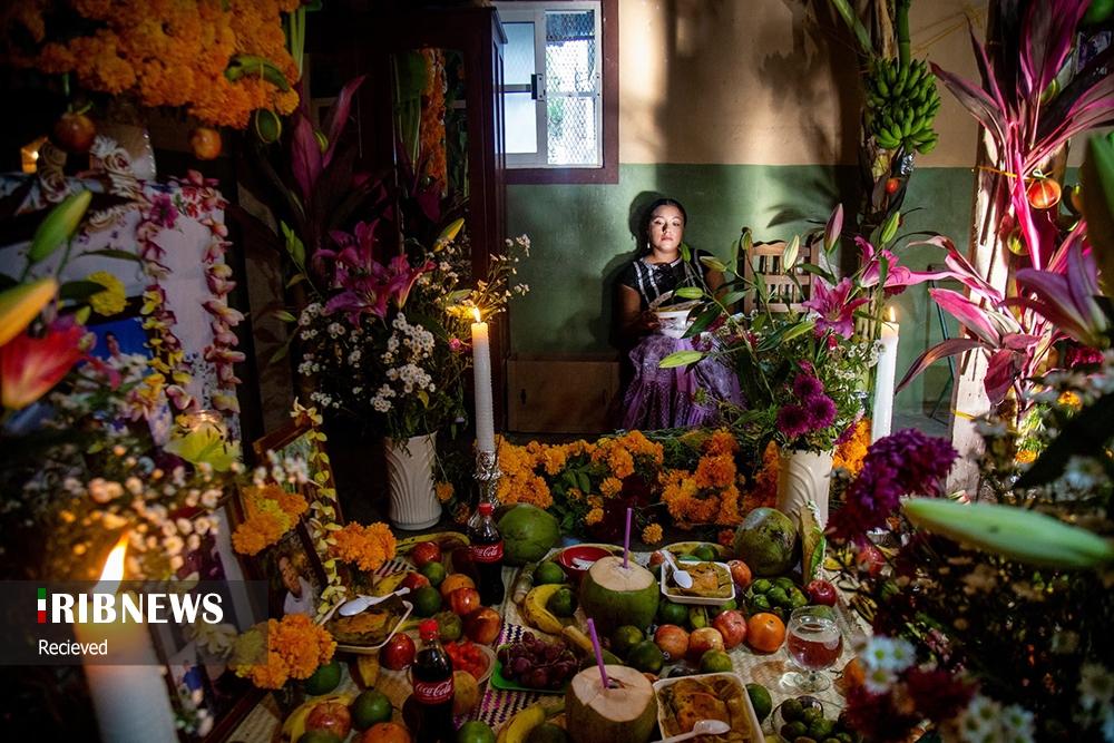 عکس‌های منتخب جهان 