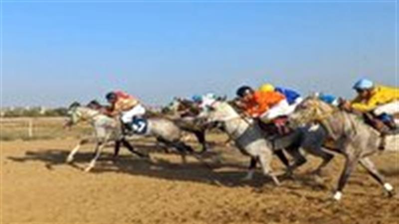 معرفی سوارکاران برتر قمی