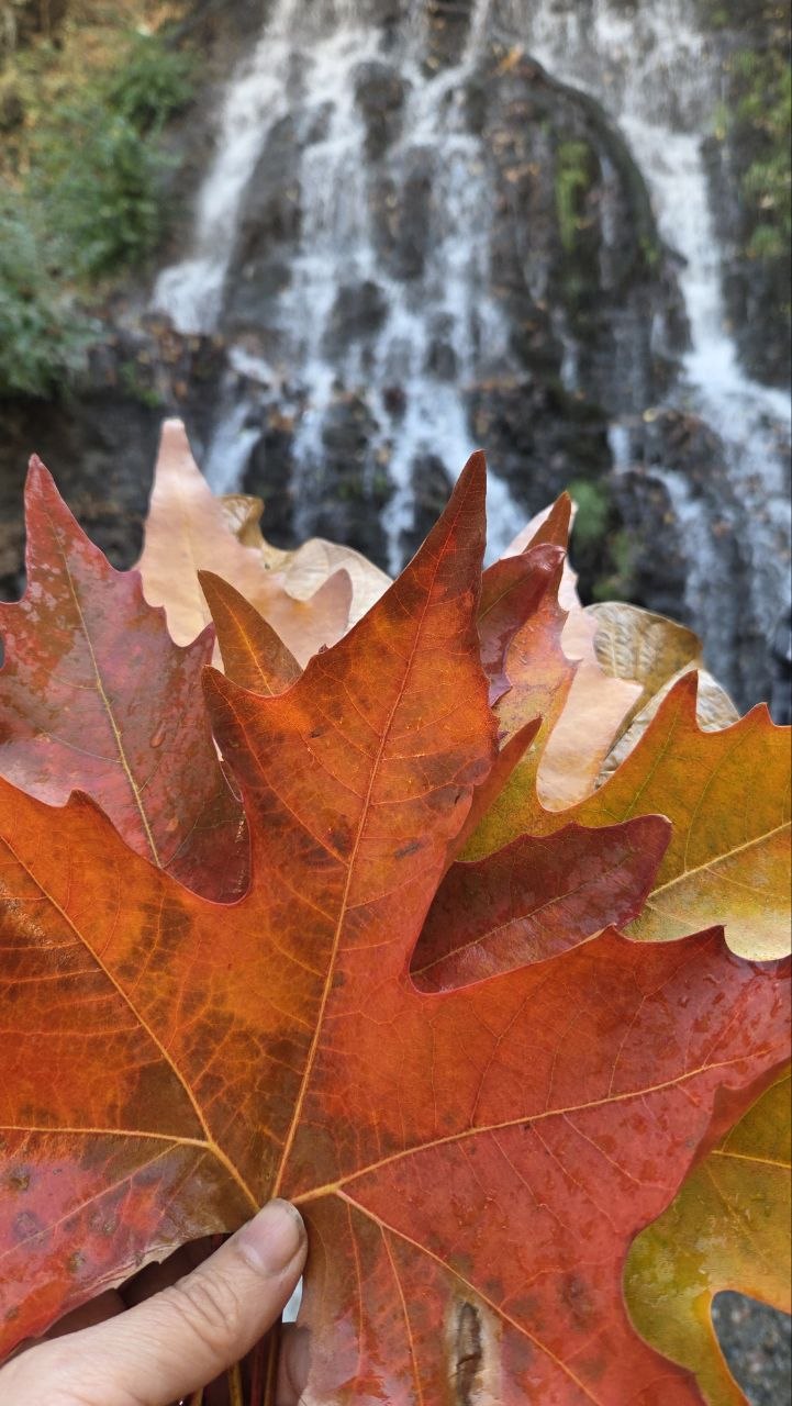 طبیعت پاییزی زشک